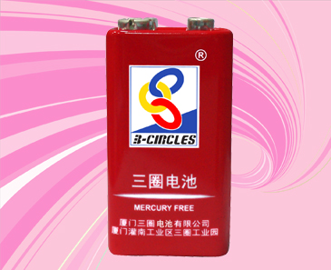 9V Alkaline Battery