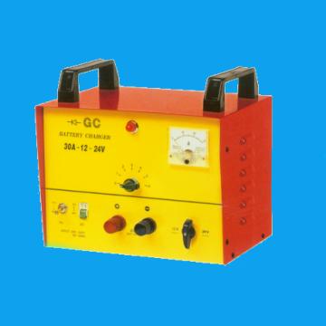 30A 12V/24V Battery Charger