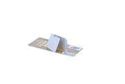 USB Battery Charger with Foldable Stand