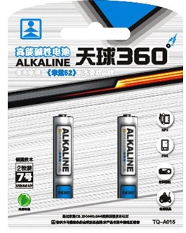 AA Alkaline Batteries (2-Pack)