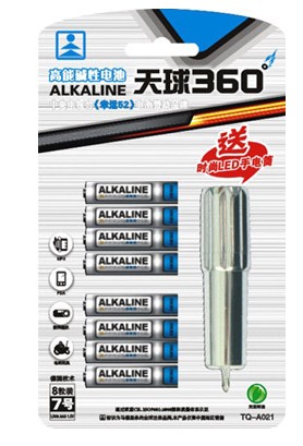 AAA Alkaline Batteries with LED Flashlight