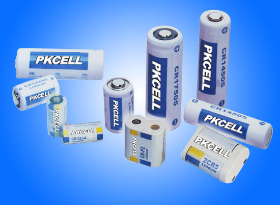 Lithium Battery Assortment