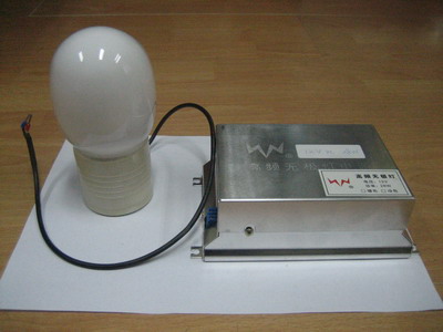 Electrodeless Lamp Power Supply