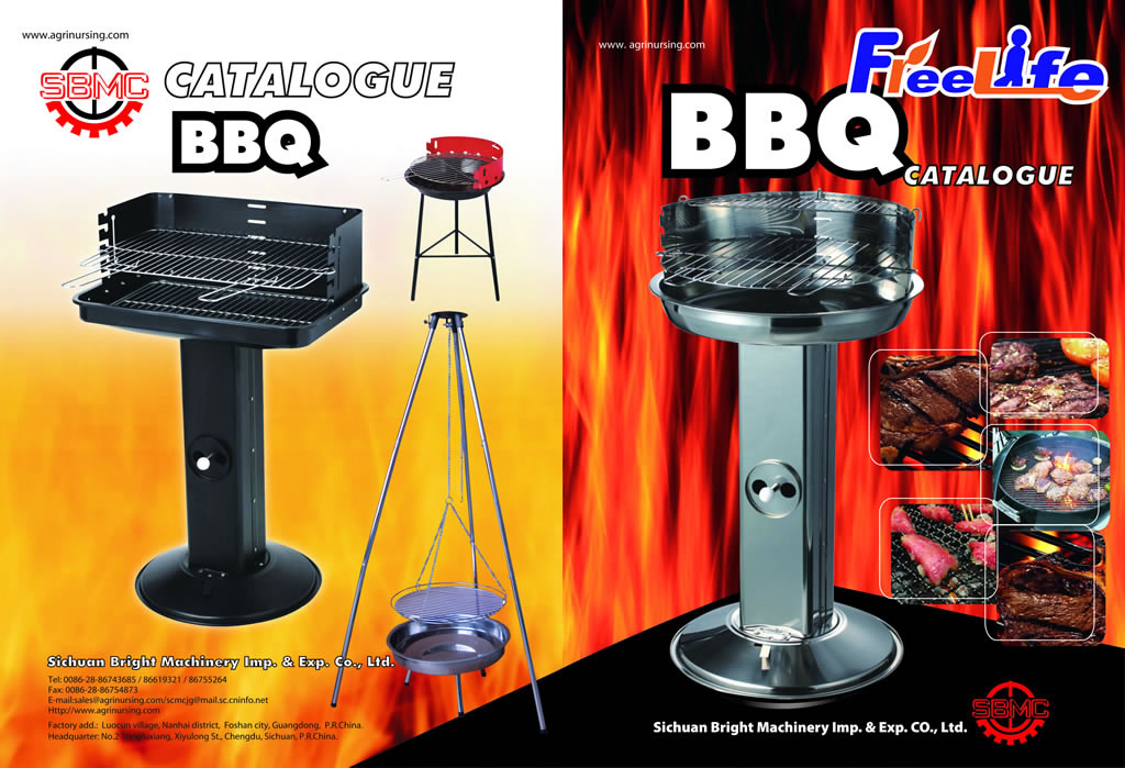 Charcoal and Gas BBQ Grill Assortment