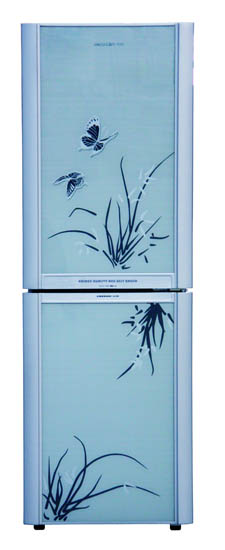 Two-Door Compact Refrigerator with Floral Design