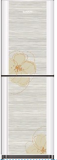 Two-Door Refrigerator with Floral Pattern
