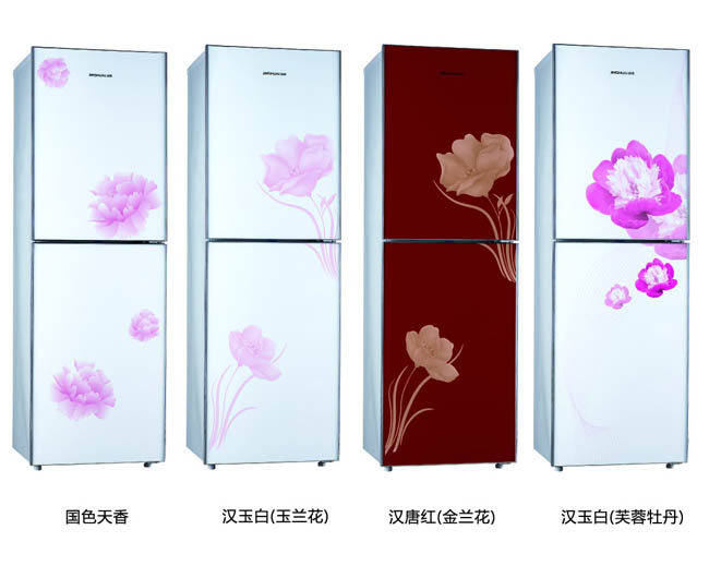 Double Door Refrigerator with Floral Pattern