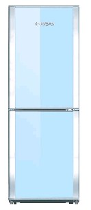 Two-Door Refrigerator with Adjustable Shelves