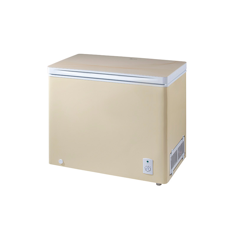 Chest Freezer for Food Storage