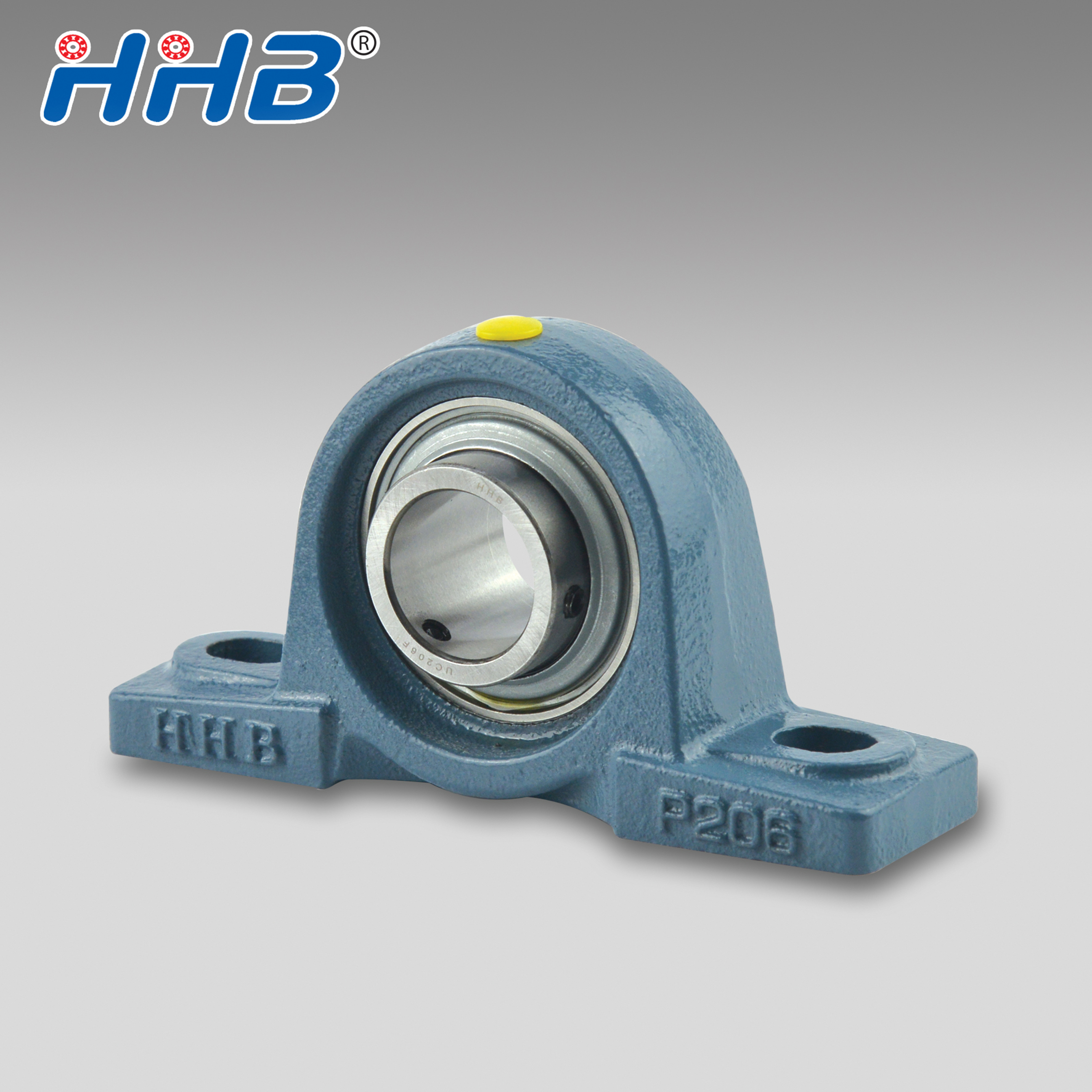 Pillow Block Bearing Unit