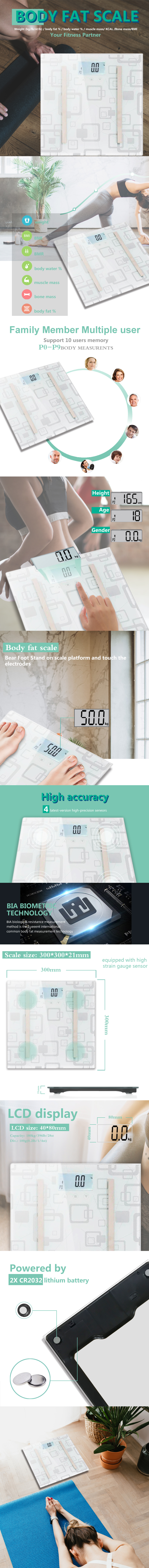 Infographic showing body composition metrics and scale dimensions