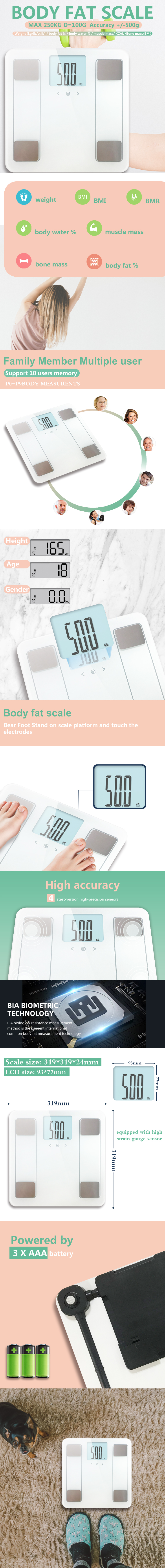 Infographic showing body composition metrics and scale dimensions