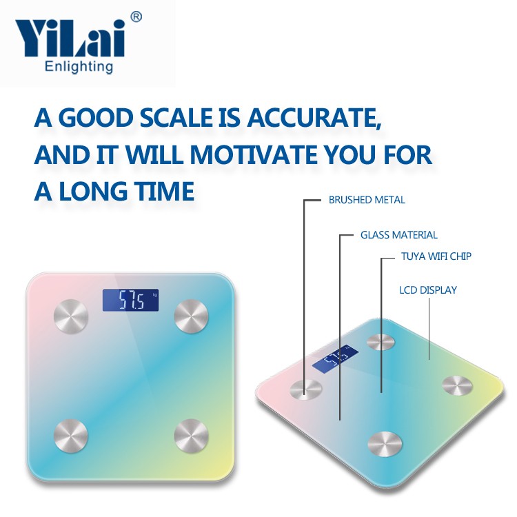 Smart Digital Bathroom Scale with Body Composition Analysis