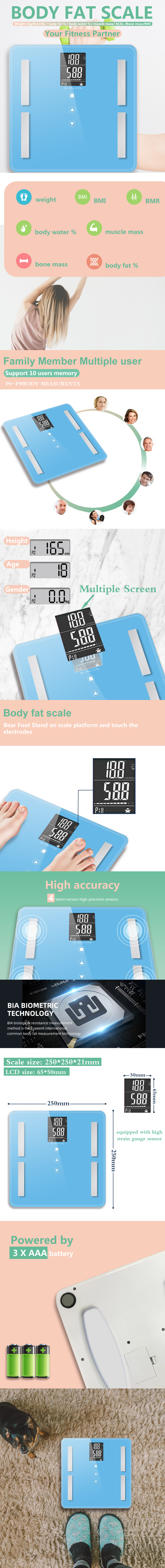 Infographic showing body composition metrics and scale dimensions
