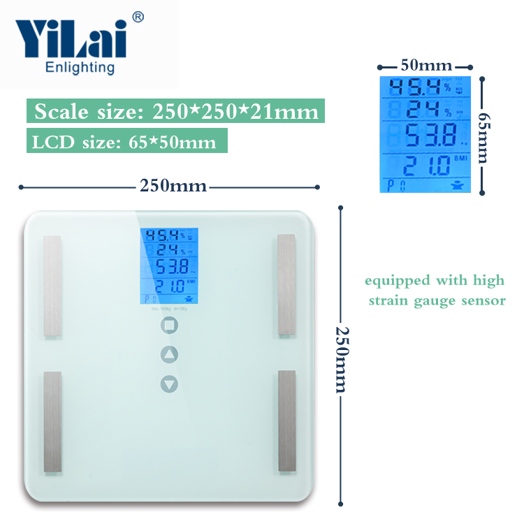Digital Body Composition Scale