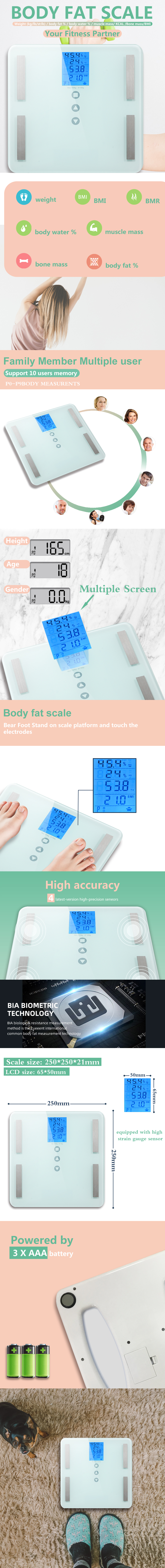 Infographic showing body composition metrics and scale dimensions
