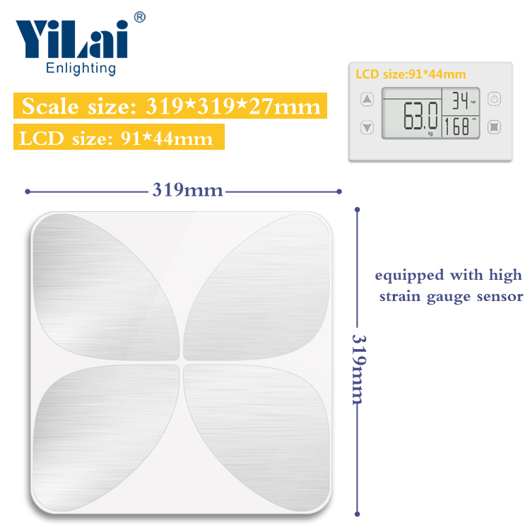Digital Body Composition Scale with Removable Display