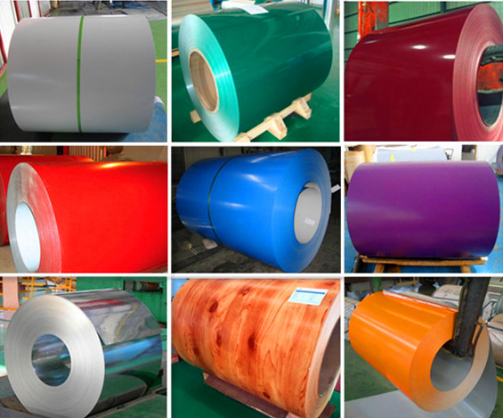 Prepainted galvanized steel coils