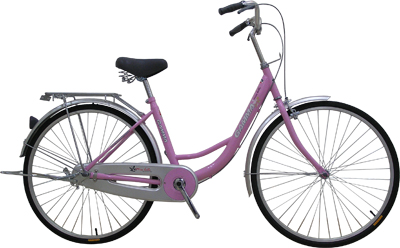 Step-Through Frame City Bicycle