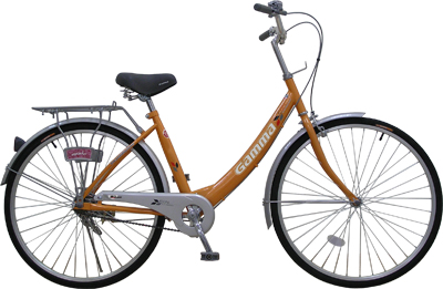 Step-Through Frame City Bicycle