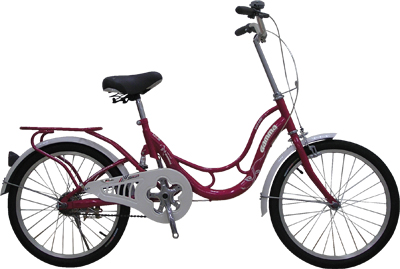 Step-Through Frame City Bicycle