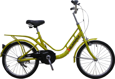 Step-Through Frame City Bicycle