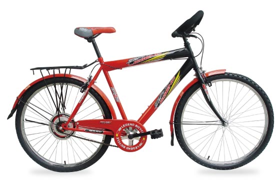 Step-Through Frame City Bicycle