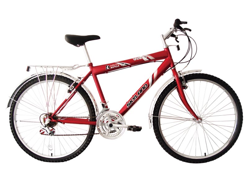 Red Mountain Bicycle with Cargo Rack