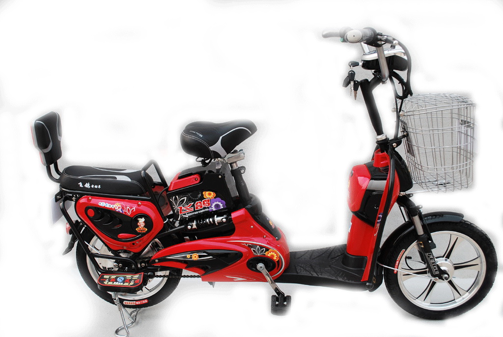 Electric Step-Through Bicycle with Passenger Seat