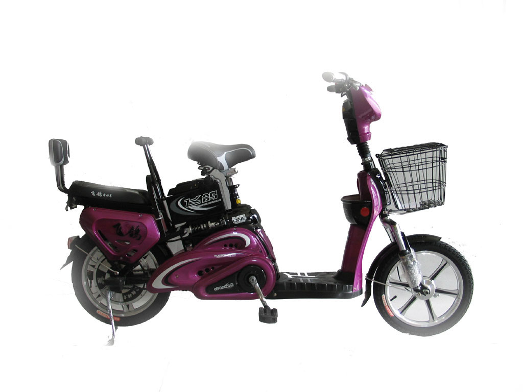 Step-Through Frame Electric Bicycle with Passenger Seat