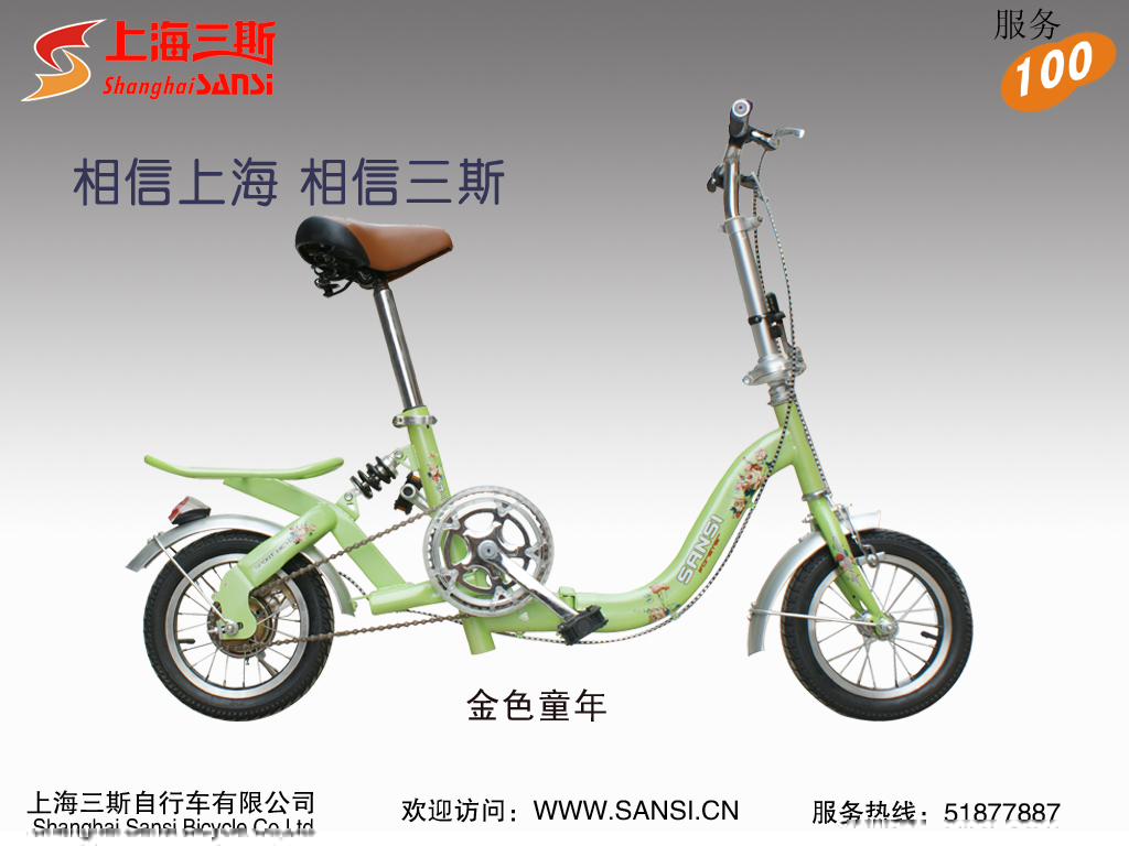 Folding Bicycle with Child Seat