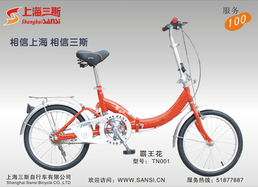 Folding Bicycle for Commuting and Recreation