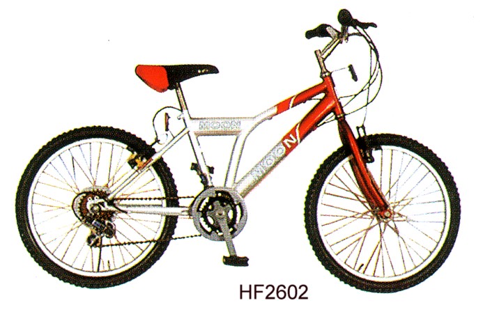 Step-Through Frame Mountain Bicycle