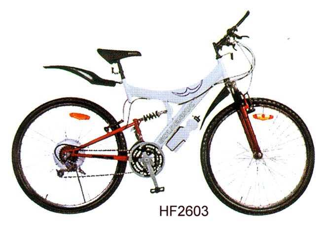 Full Suspension Mountain Bicycle