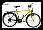 Step-Through Frame Mountain Bicycle
