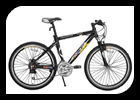 Mountain Bicycle with Front Suspension