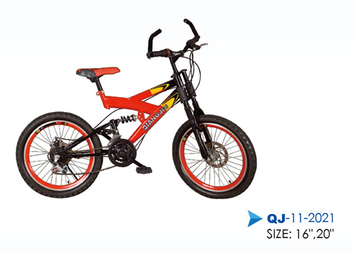 Full Suspension Mountain Bicycle