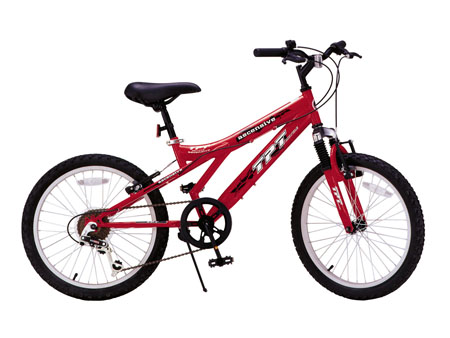 Recreational Bicycle