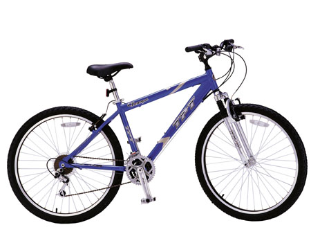 Blue and Silver Alloy Mountain Bicycle