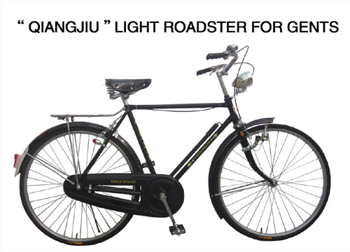 Bicycle YHL65 - Image 2