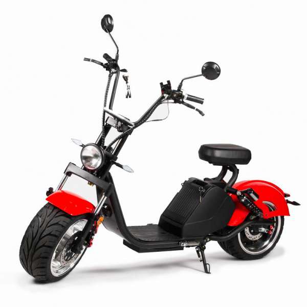 Big Promotion Nice Shape Luqi Electric Bicycle with Double Disc Brakes - Image 3