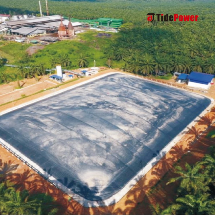 Biogas Power Plant BOT Project - Image 3