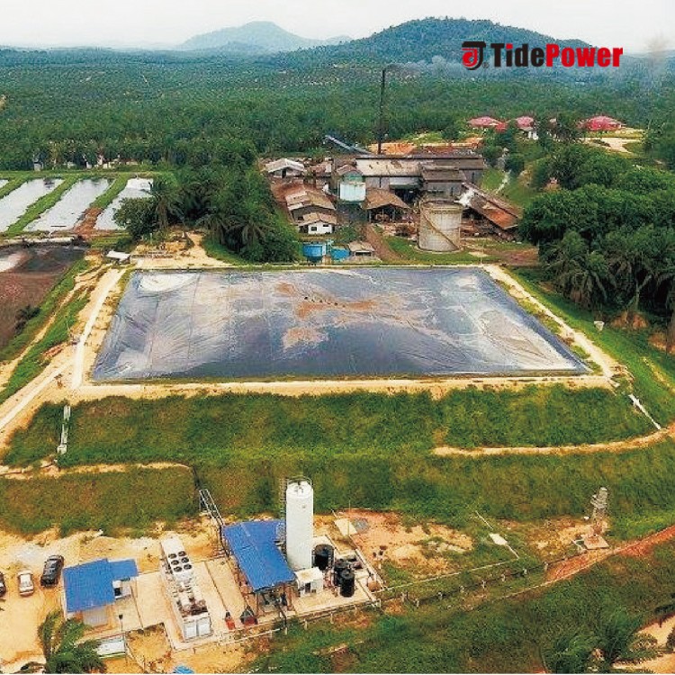 Biogas Power Plant BOT Project - Image 2