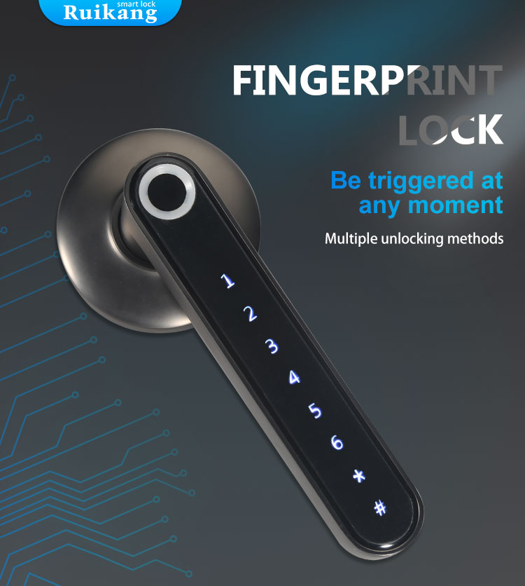 Smart lock with fingerprint and keypad interface