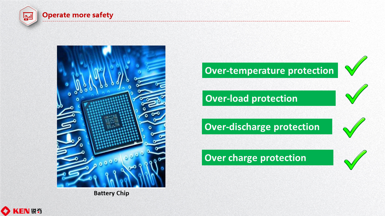 Electronic Battery Protection