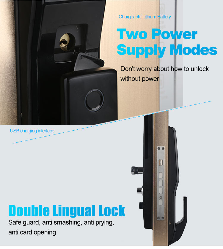Power supply modes and double lingual lock security features