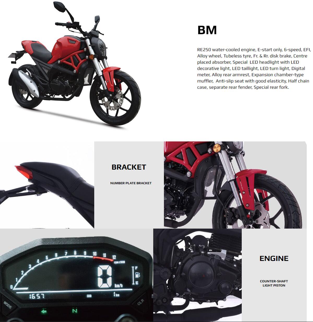 Detailed view of the 250cc motorcycle components including engine and lighting
