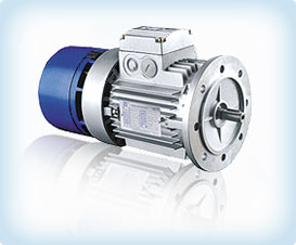 Brake Motor