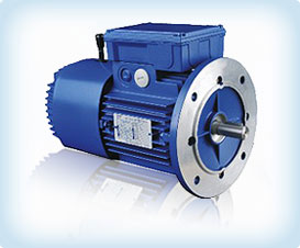 Brake Motor