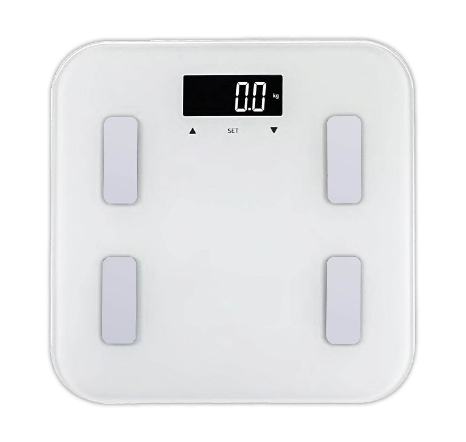 Digital Body Fat Scale